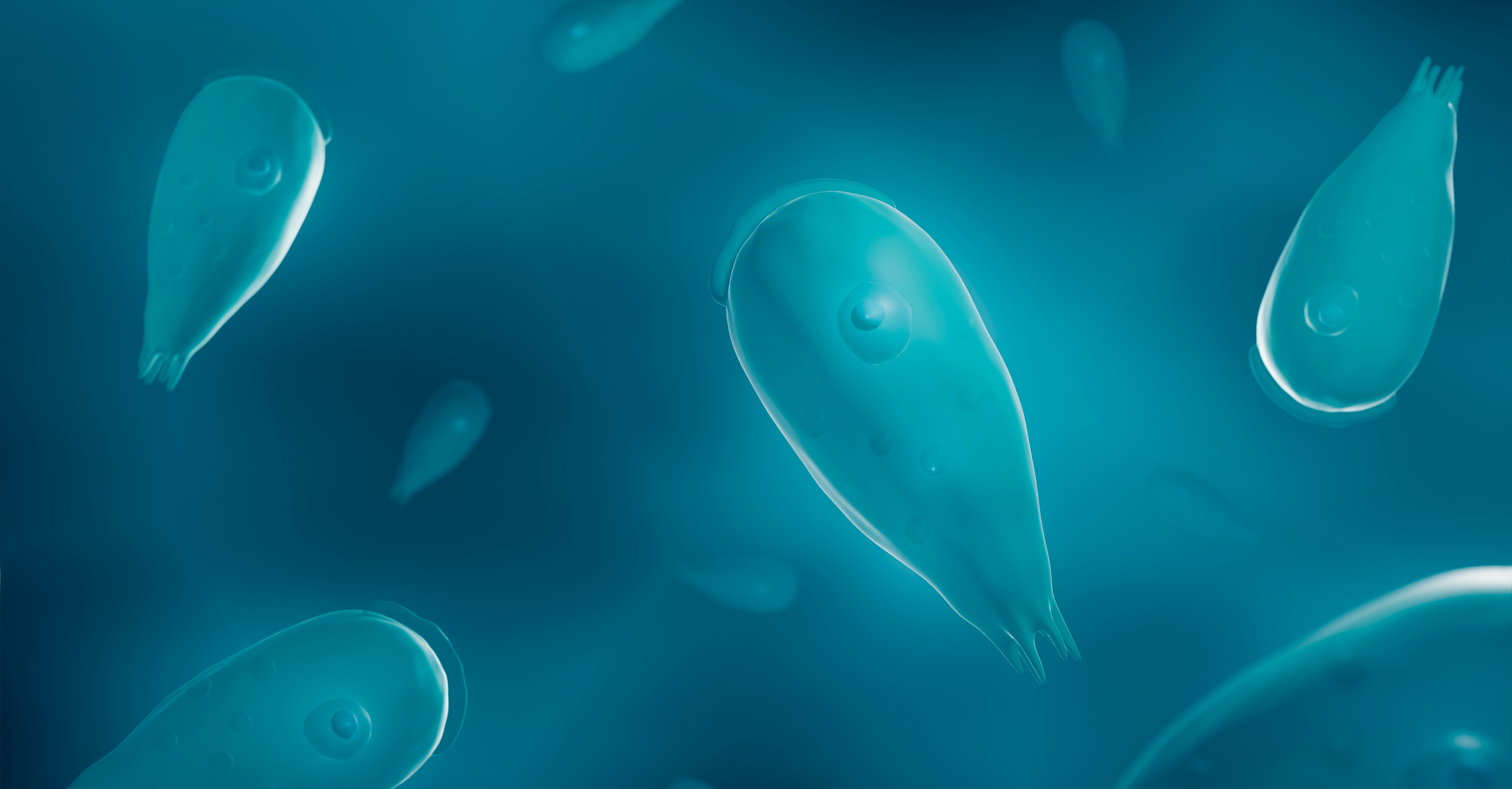 Testing for Parasites: Why It’s So Hard to Get an Accurate Response